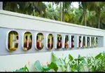 Coconut trees farm land sale in othakalmandapam coimbatore