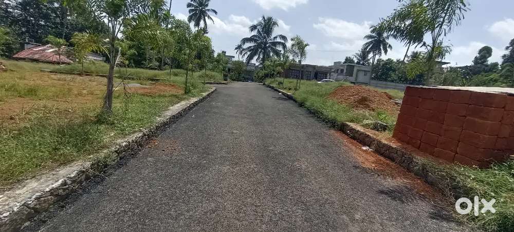 Residential Plots Near Angamaly,Thuravoor Jn (500m) – 4, 5, 8, 10 Cent