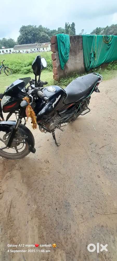 Pulsar 135