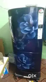 New fridge