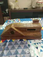 Fish emporium ka dhakka