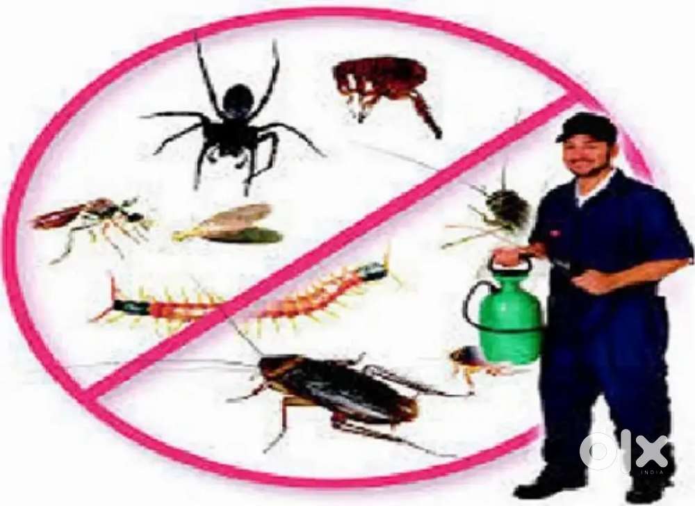 Contact for Pest control for houses flats and offices