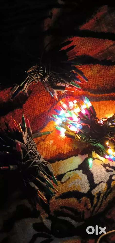 Festival Light (₹20/- per piece)