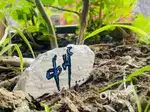 Handmade painted stone - unique decorative peice