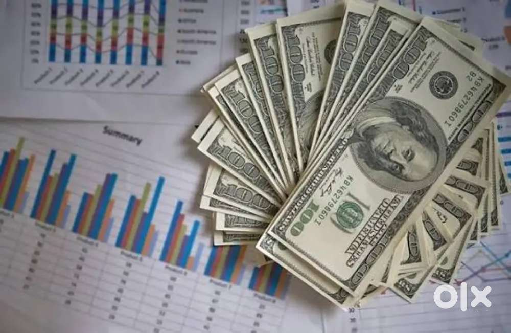 Experienced Forex Officer