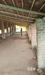 Poultry farm or aadat for sale  with all feeders & drinkers big &small