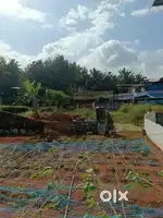 Chanthavila - Mavinmoodu