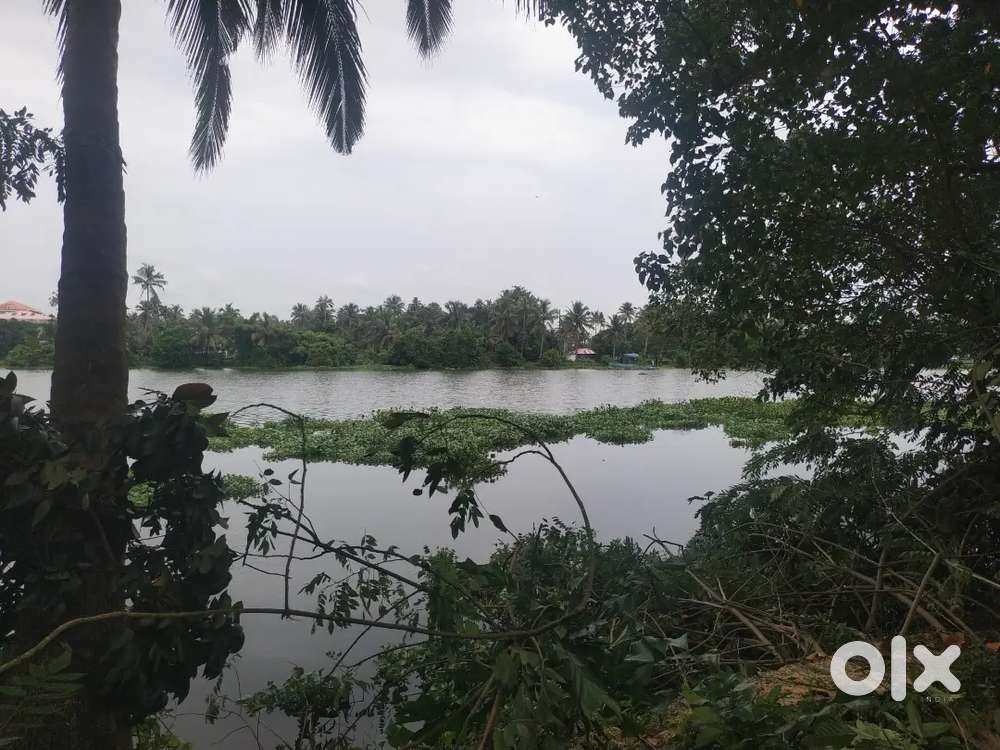 30 CENTS WATER FRONT PLOT FOR SALE NEAR LAKESHORE HOSPITAL IN PANAGAD