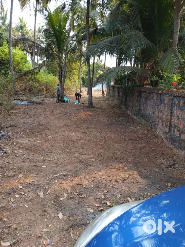 Land for sale  near Tarkarli Beach road Malvan