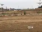 200 sq Yard plot sale in Basant Avenue ext 11
