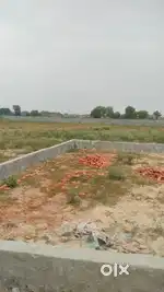 50 Gaj plots residential, best location pr plots, pakki Registry