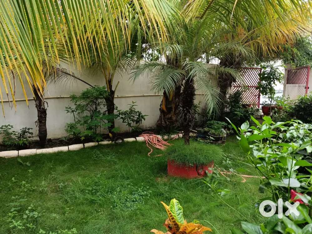 Mini farm house at Prime Location