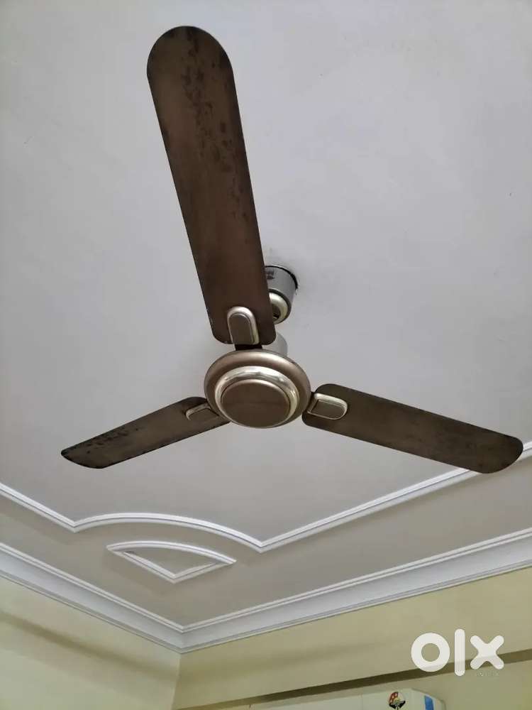 Bajaj ceiling fan