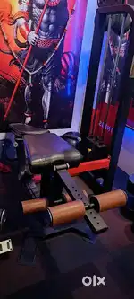 Leg Extension & Leg Curl Machine