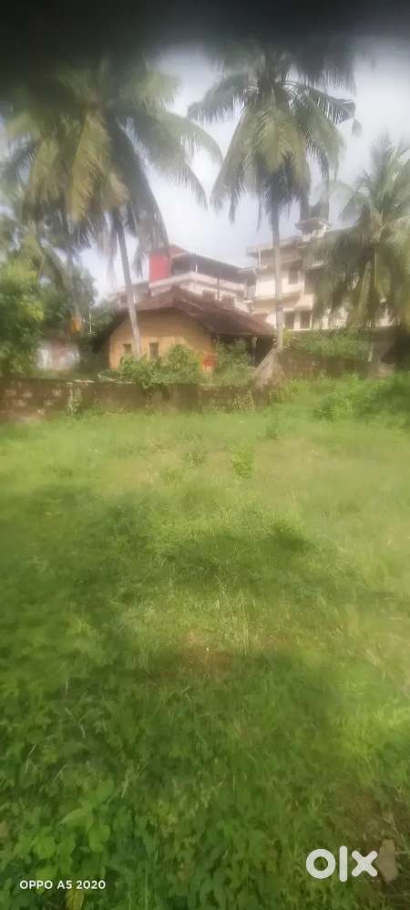 Derebail 10 Cents Land For Sale with well water Rs.1,10,00,000