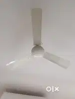 Havells fan