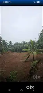 45 cent Land for sale at Kallarakunnu, Ayikkarappady