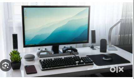 COMPUTER HINDI ENGLISH TYPIST