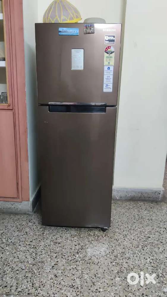 Samsung 2 door refrigerator (243 L)