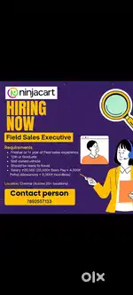 Sales executive