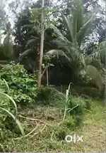 Stream-Attached 2.36 Acre Plantation with Farmhouse – Kushalnagar,