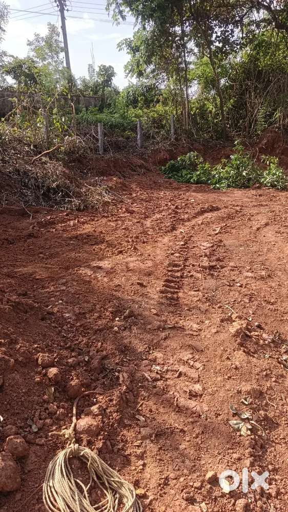 One  acre  plain land for sale