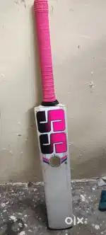 Kashmir willow cricket bat