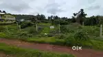 Plot for sale in Curtorim