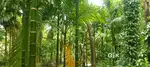 Puttur  near 4.6 km house