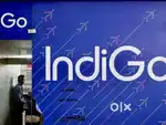IndiGo Airlines Job-Airport Ground Staff & more.Male/Female Candidate