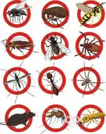 V2U PEST SERVICE