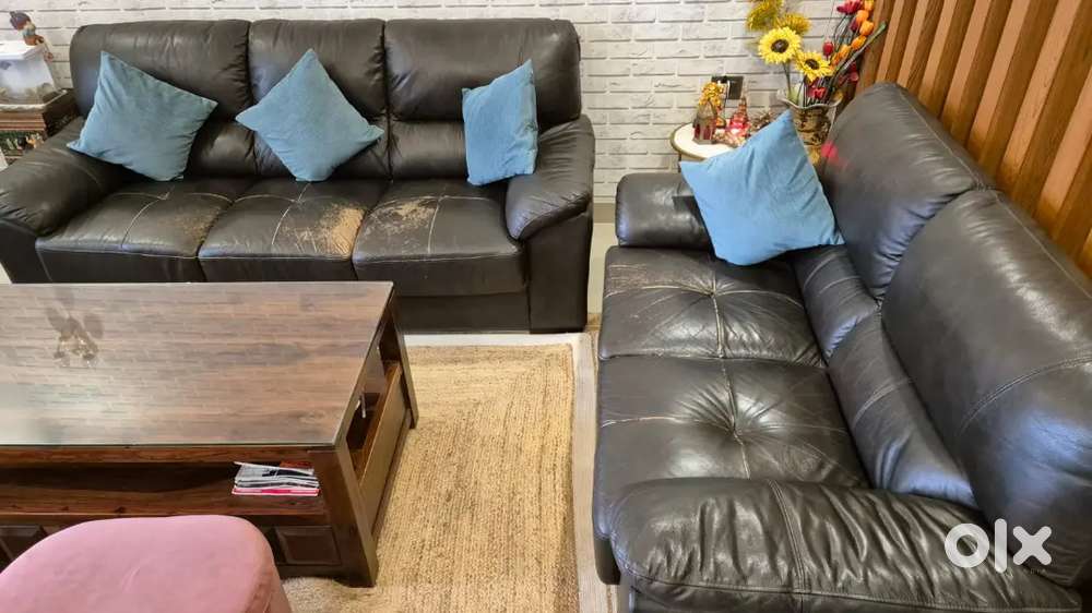 5 seater sofa at reasonable price