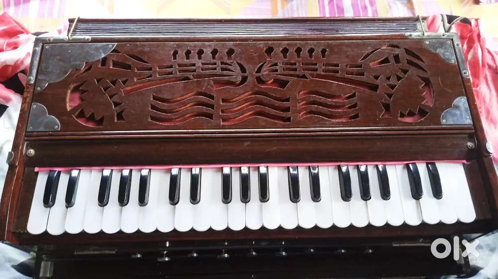 Harmonium (only 9 month old)