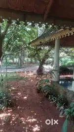 veettu goli cheyyan ale avasyamund