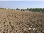 10 to 15 vigha Jagya Bhade aapvani  open Godaun mate Rent Leasse madse