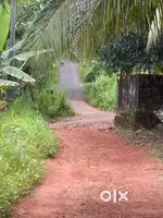 25 cent plot and House for sale and we are asking 300000 negotiable
