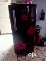 Singal door