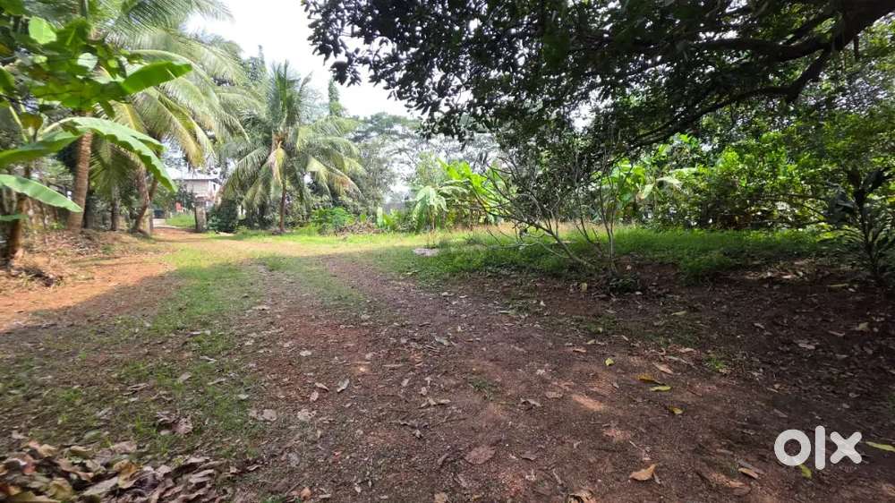 40 cent land for rent at Kakkanad