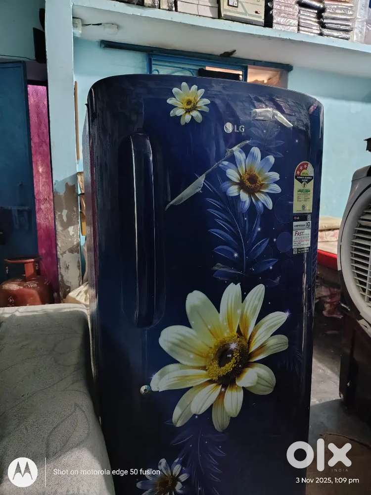 New 5 month old fridge