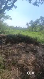 17 Bigha ( 340kattah) Land available for sale besides Calcutta Busines