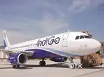 Job in Indigo Airlines urgent Hiring Apply Now