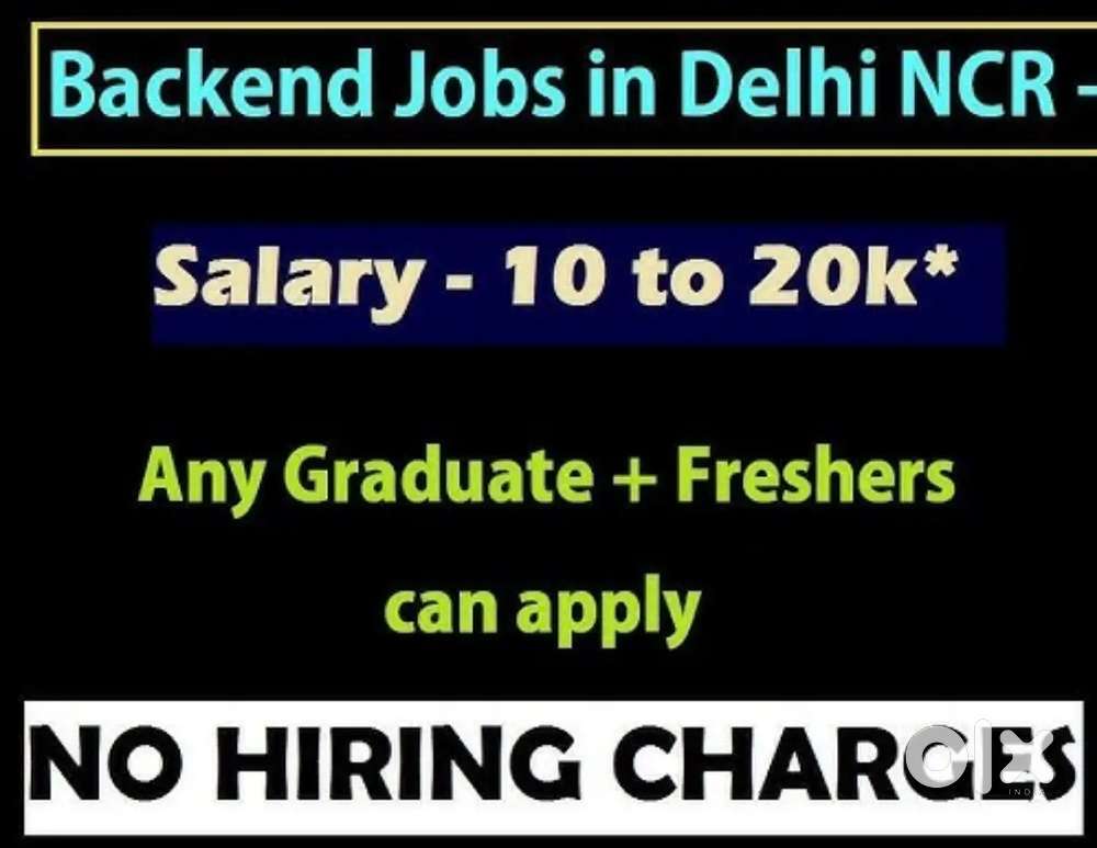 Back Office Executive