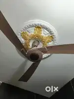 Ceiling fans