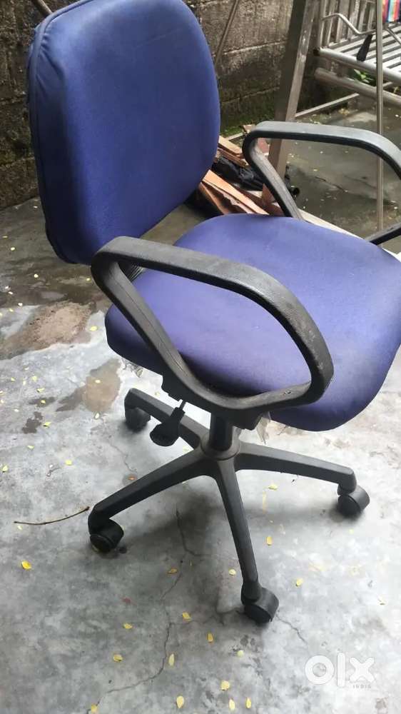 Study & office chair