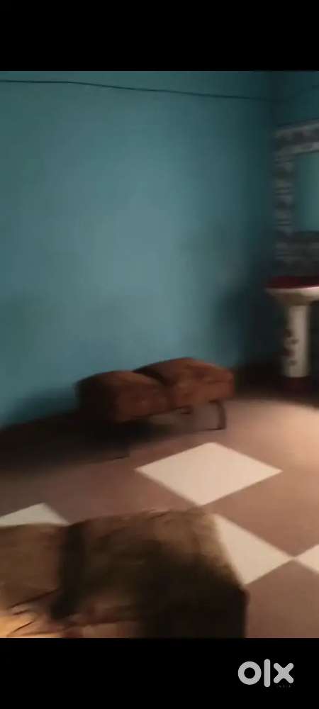 Single room with toilet for single boy OR girl's