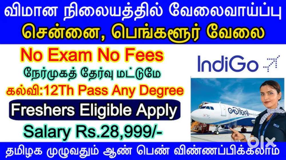 Cabin Crew/Airport Ground Staff Jobs In IndiGo Airlines Vacancy