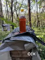 Organic pure honey