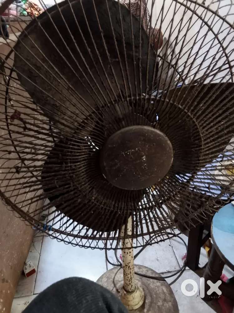 Tow pis BIG SIZE FAN