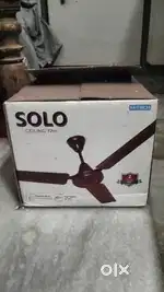 Ceiling fan