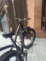Fat bike avon proxima